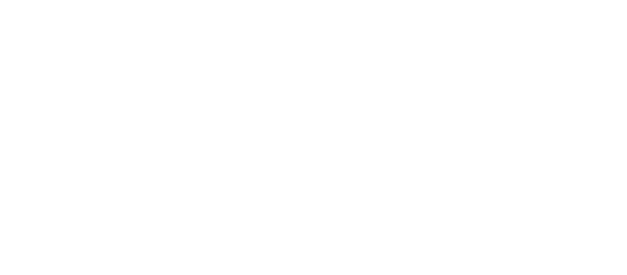 UTA Executive MBA